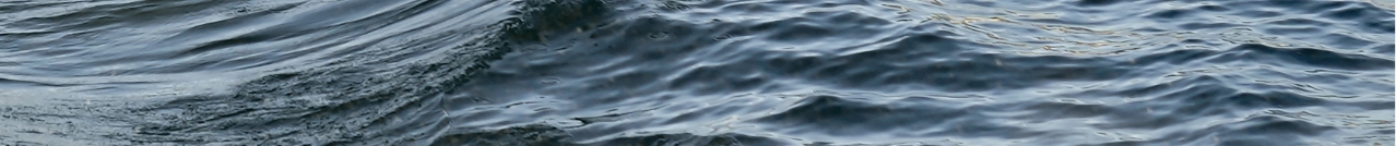 Wasser ist nicht nur die Grundlage unseres täglichen Lebens, hier in Hamburg ist sie auch innovative Quelle für die klimaneutrale Wärmeerzeugung. Zusammen mit Hamburg Wasser bauen wir die erste Abwasser-Großwärmepumpe Deutschlands. In Zukunft wird sie dem Abwasser der Stadt die Wärme entziehen und für die Hamburgerinnen und Hamburger nutzbar machen. Wärmepumpen sind auch das Herzstück unseres innovativen Energieparks Tiefstack. Hier wollen wir mit zwei Flusswasser-Wärmepumpen klimaneutrale Energie aus Elbe und Bille gewinnen.