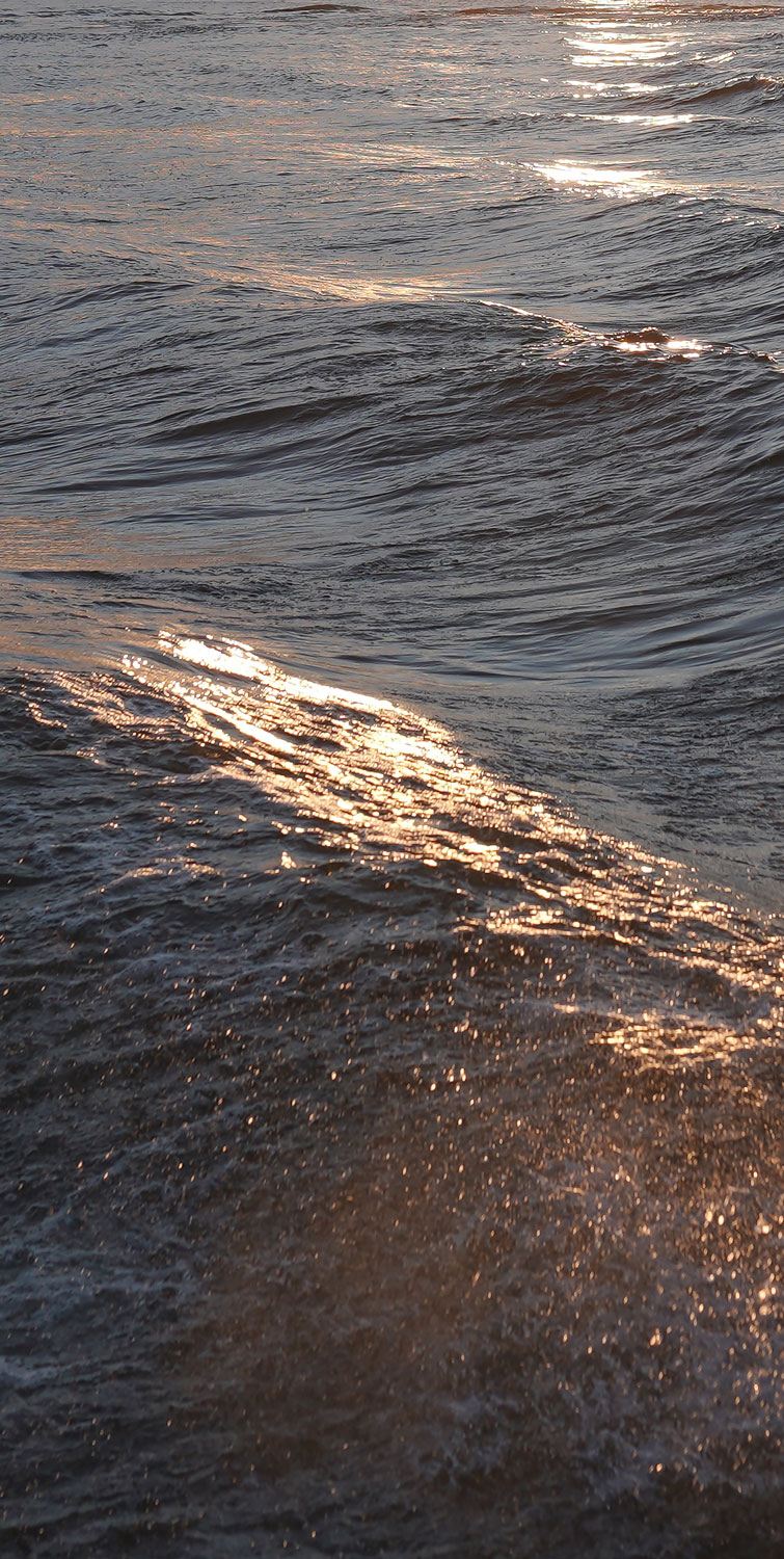 Wasser ist nicht nur die Grundlage unseres täglichen Lebens, hier in Hamburg ist sie auch innovative Quelle für die klimaneutrale Wärmeerzeugung. Zusammen mit Hamburg Wasser bauen wir die erste Abwasser-Großwärmepumpe Deutschlands. In Zukunft wird sie dem Abwasser der Stadt die Wärme entziehen und für die Hamburgerinnen und Hamburger nutzbar machen. Wärmepumpen sind auch das Herzstück unseres innovativen Energieparks Tiefstack. Hier wollen wir mit zwei Flusswasser-Wärmepumpen klimaneutrale Energie aus Elbe und Bille gewinnen.